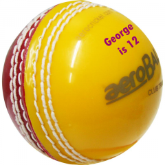 aero Trainer printed cricket ball | Best4SportsBalls