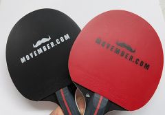 Dunlop Evolution Max Printed Bat | Best4SportsBalls