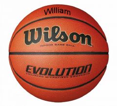 Personalised Wilson Evolution Basketball | Best4SportsBalls