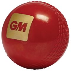 GM Tru Bounce cricket balls | Best4SportsBalls