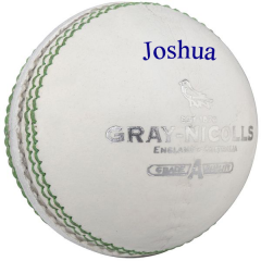 Personalised white Crest Special cricket balls 135g | Best4Balls