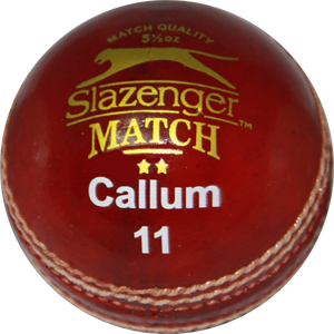 Cricket